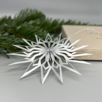 DWM Weihnachtsstern Design B Klassik silber 8 cm