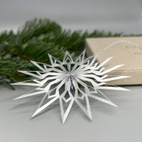 DWM Weihnachtsstern Design C Klassik silber 8 cm