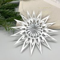 DWM Weihnachtsstern Design C modern silber 16 cm