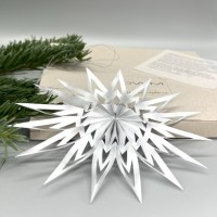 DWM Weihnachtsstern Design C modern silber 16 cm