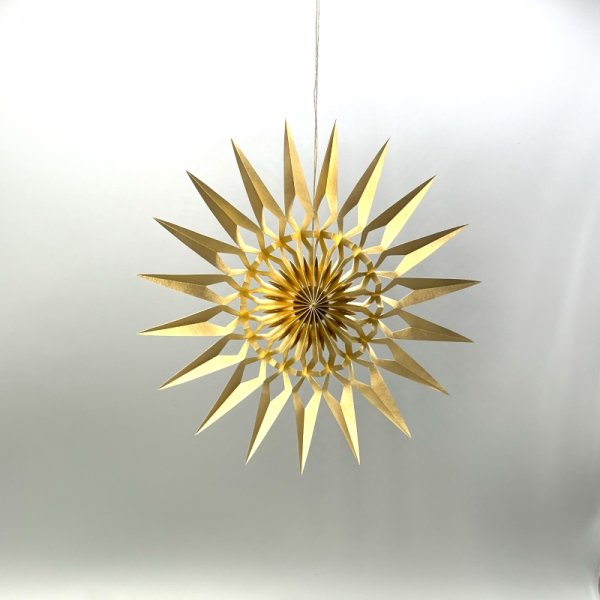 DWM Weihnachtsstern Design B modern gold 20 cm