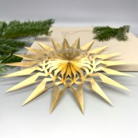 DWM Weihnachtsstern Design B modern gold 20 cm