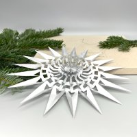 DWM Weihnachtsstern Design A modern silber 20 cm