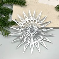 DWM Weihnachtsstern Design B modern silber 20 cm