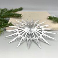 DWM Weihnachtsstern Design B modern silber 20 cm